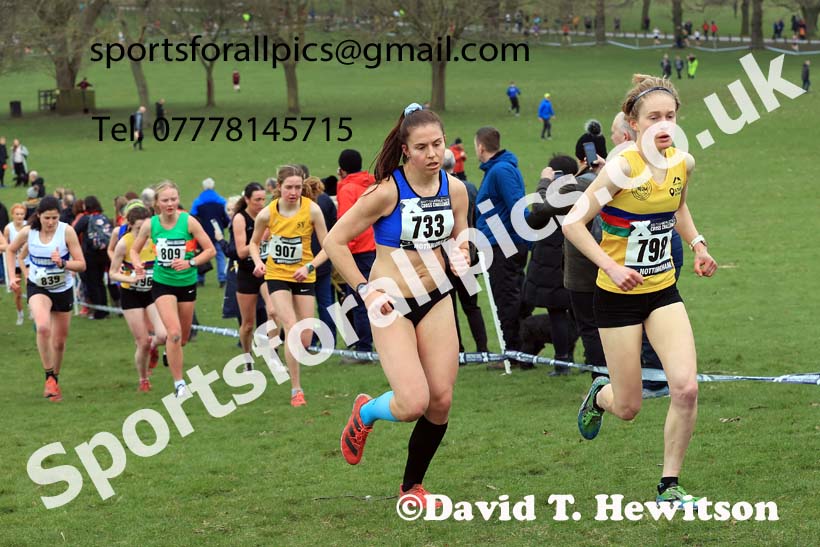 Senior Women, 2024 CAU Inter Counties Cross Country Champs., Wollaton Park, Nottingham. Photo: David T. Hewitson/Sports for All Pics